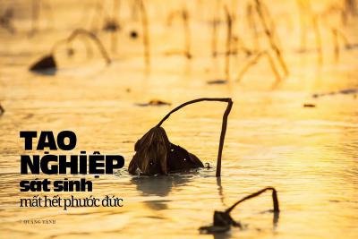 Tạo Nghiệp Sát Sinh Mất Hết Phước Đức Tạo Nghiệp Sát Sinh Mất Hết Phước Đức